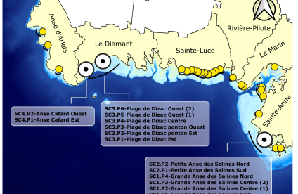 Fiches Transect Sud Caraïbe