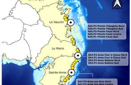 Fiches Transect - Sud Atlantique