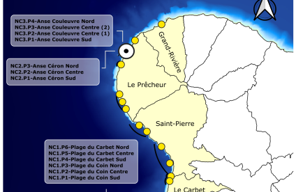 Fiches Transect - Nord Caraibe