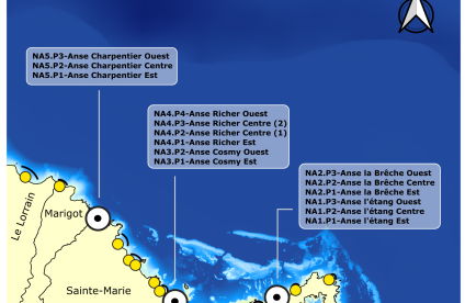 Fiches Transect - Nord Atlantique